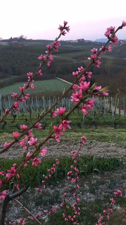 Bed and Breakfast Cascina Baresane Alba  Exterior foto