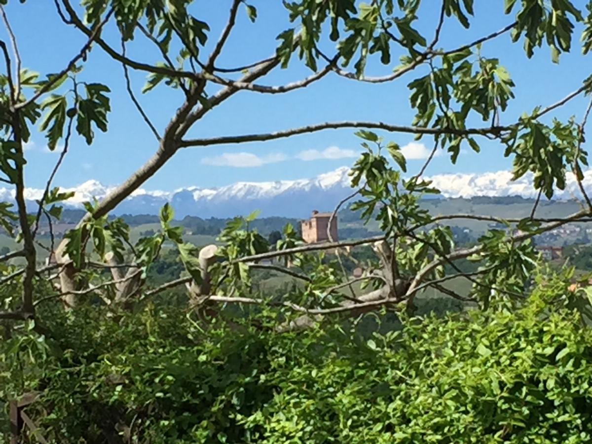 Bed and Breakfast Cascina Baresane Alba  Exterior foto
